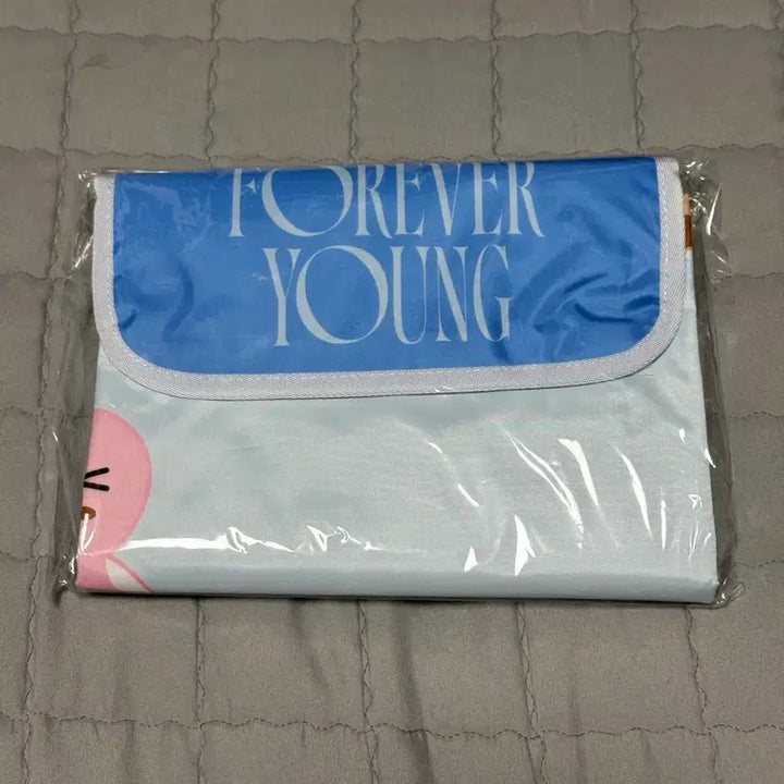 [BUNJANG] DAY6 Picnic Mat with Photocard / 데이식스 피크닉매트 (포토카드 포함)