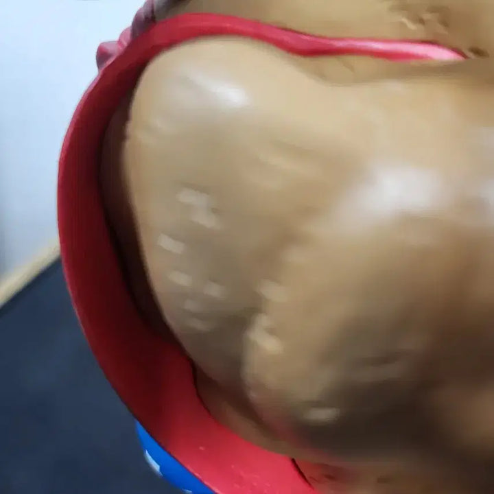 [BUNJANG] One Piece Dramatic Chopper Figure / 원피스) 드라마틱 쵸파 피규어