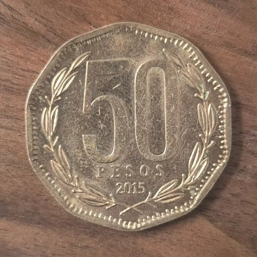 [BUNJANG] Chile 50 Peso Coin (2015) / [EP. 378] 2015년 칠레 50 페소 동전