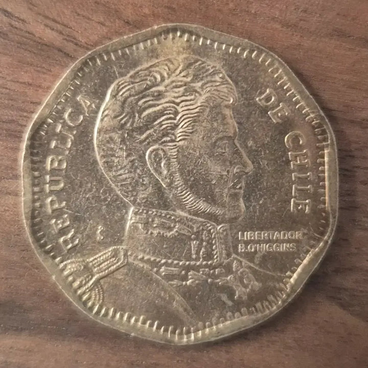[BUNJANG] Chile 50 Peso Coin (2015) / [EP. 378] 2015년 칠레 50 페소 동전
