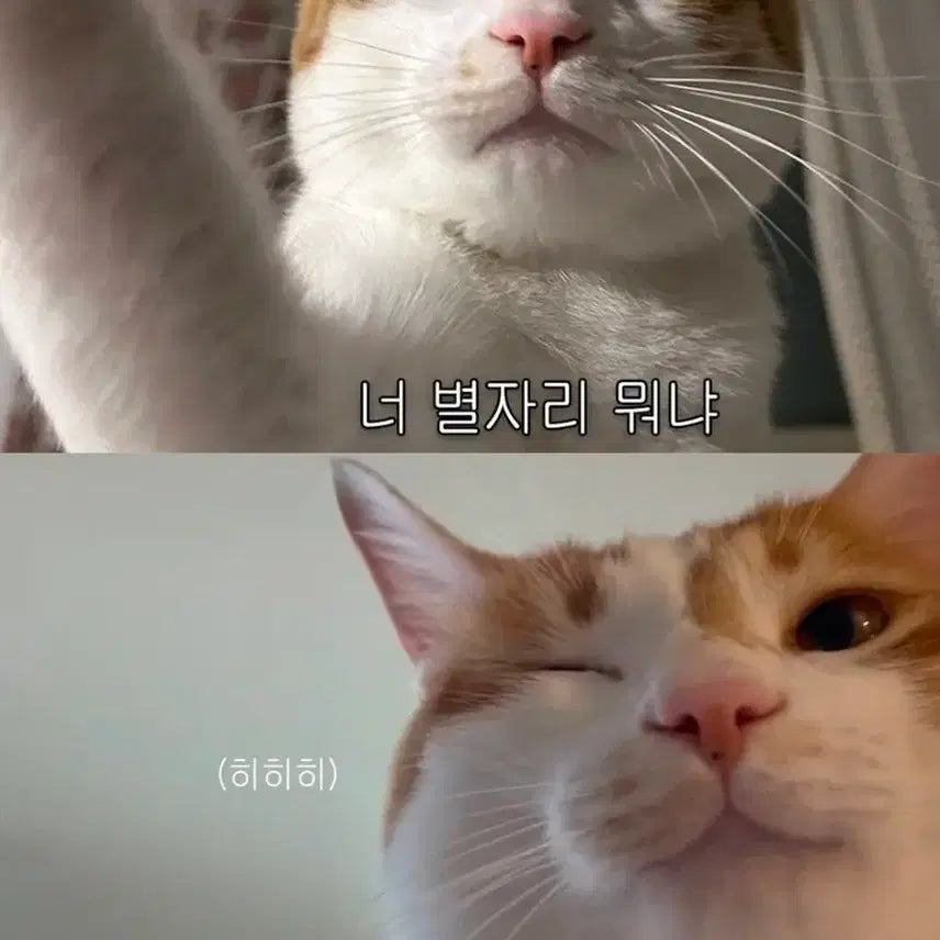 [BUNJANG] Women&