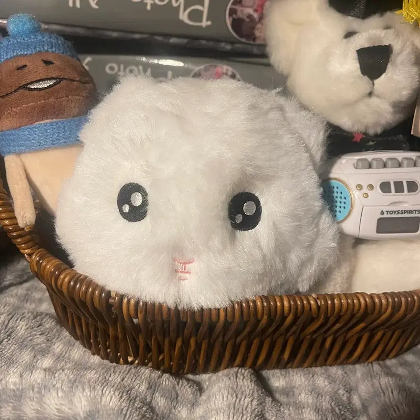 [BUNJANG] NCT Wish Sakuya Doll / 기니꾸 엔시티 위시 사쿠야 인형 nct wish