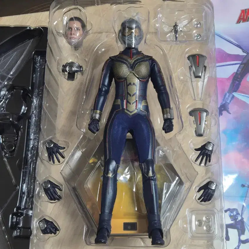 [BUNJANG] Hot Toys Wasp Figure / 핫토이 와스프 피규어 팝니다. (앤트맨과 와스프)