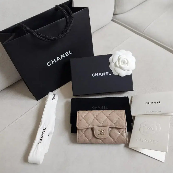 [BUNJANG] Chanel Card Holder Caviar Beige / [새상품] 11/25구매 샤넬 똑딱이 카드지갑