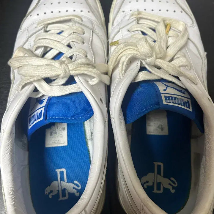 [BUNJANG] PUMA LX / PUMA LX