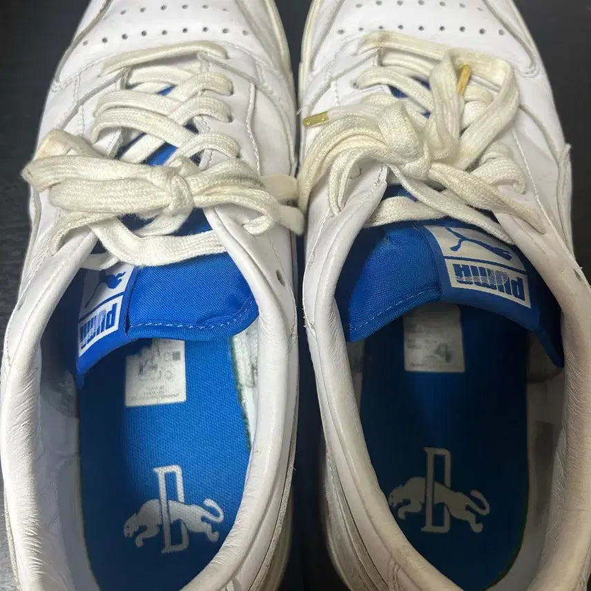 [BUNJANG] PUMA LX / PUMA LX