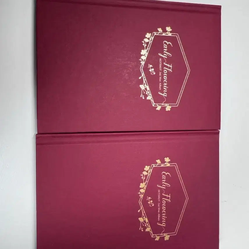 핫샷-미니 2집 Early Flowering 앨범