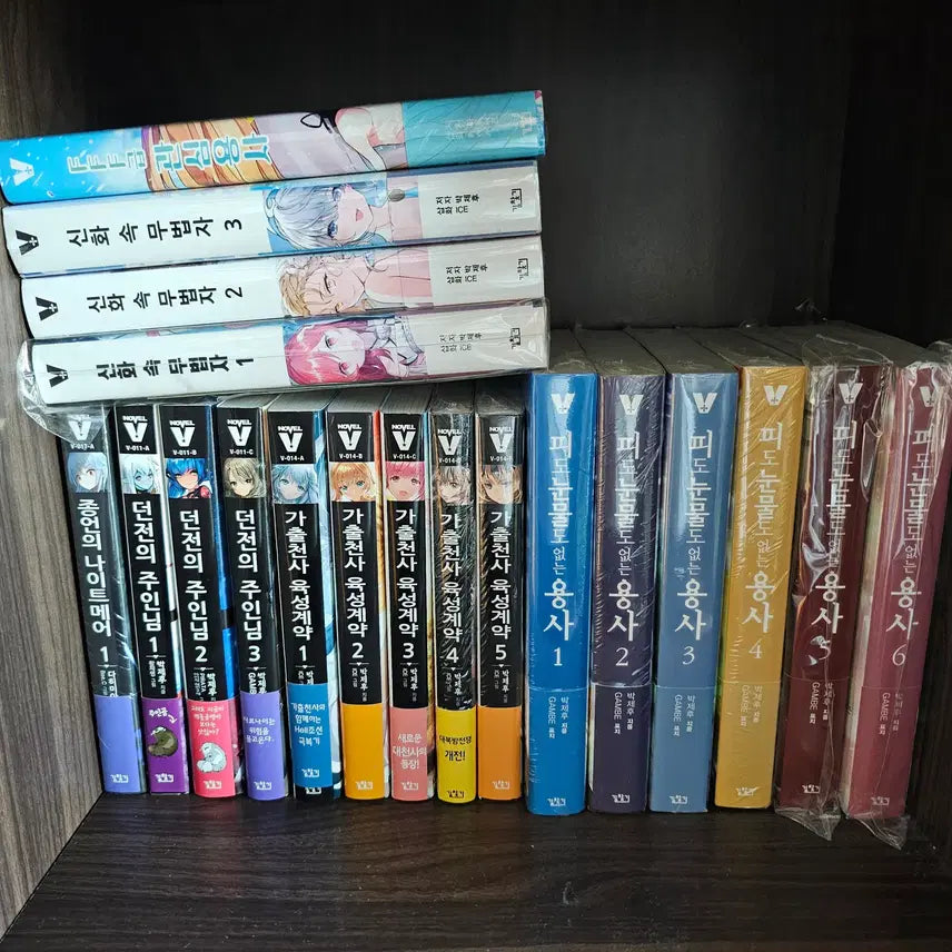 [BUNJANG] 피도눈물도없는용사 박제후 Series Novel Set (Full Set) / [올초]피도눈물도없는용사 1-6(완)+박제후 시리즈(모든부록)