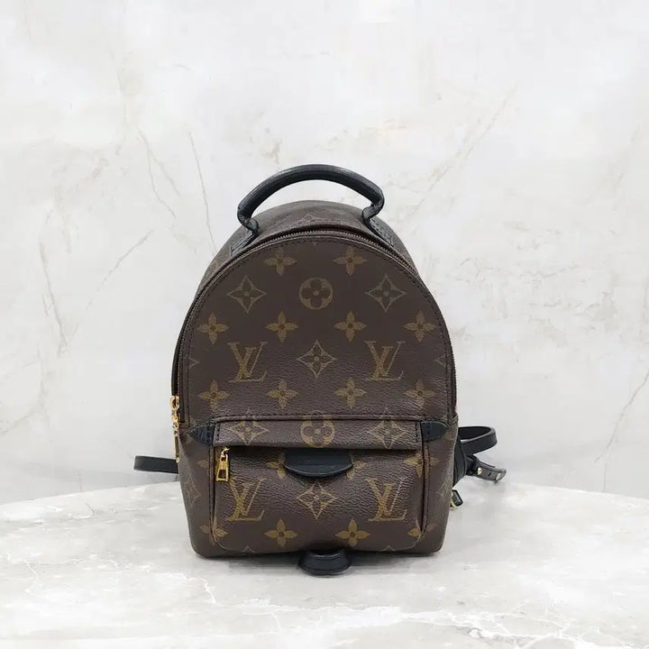 [BUNJANG] Louis Vuitton Monogram Mini Palm Springs Backpack M44873 / 루이비통 모노그램 미니 팜스프링 백팩 M44873