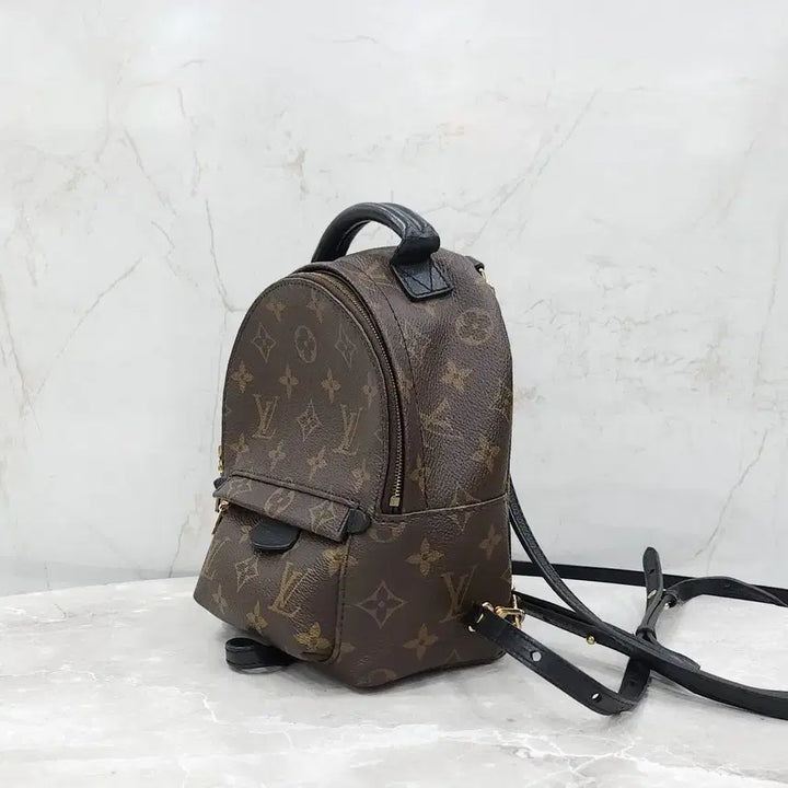 [BUNJANG] Louis Vuitton Monogram Mini Palm Springs Backpack M44873 / 루이비통 모노그램 미니 팜스프링 백팩 M44873