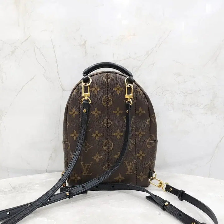 [BUNJANG] Louis Vuitton Monogram Mini Palm Springs Backpack M44873 / 루이비통 모노그램 미니 팜스프링 백팩 M44873