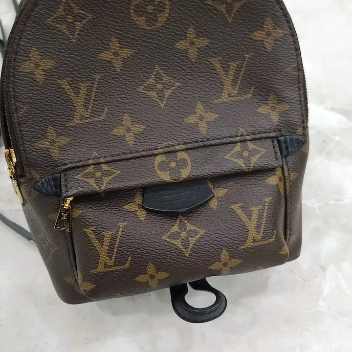 [BUNJANG] Louis Vuitton Monogram Mini Palm Springs Backpack M44873 / 루이비통 모노그램 미니 팜스프링 백팩 M44873