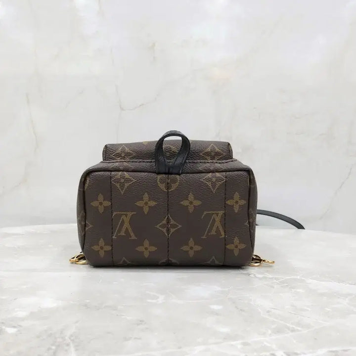 [BUNJANG] Louis Vuitton Monogram Mini Palm Springs Backpack M44873 / 루이비통 모노그램 미니 팜스프링 백팩 M44873