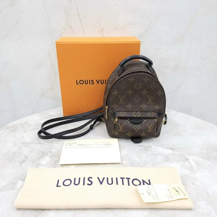 [BUNJANG] Louis Vuitton Monogram Mini Palm Springs Backpack M44873 / 루이비통 모노그램 미니 팜스프링 백팩 M44873