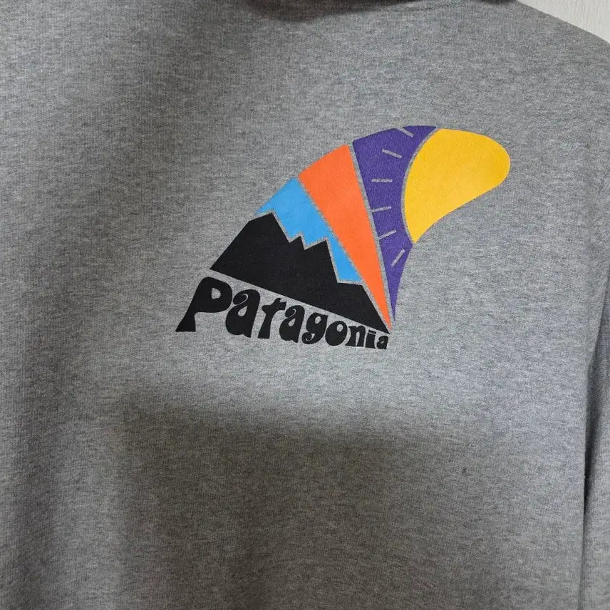 [BUNJANG] Patagonia Hooded Zip-up Jacket / 파타고니아 후드집업 M