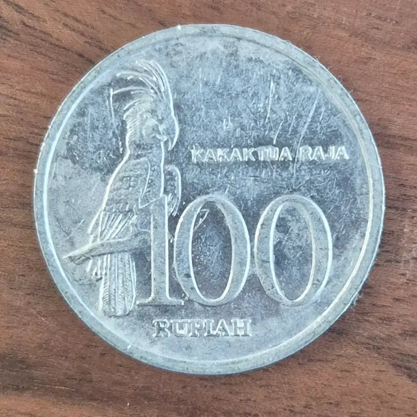 [BUNJANG] Indonesia 100 Rupiah Coin / [EP. 443] 1999년 인도네시아 100 루피아 동전