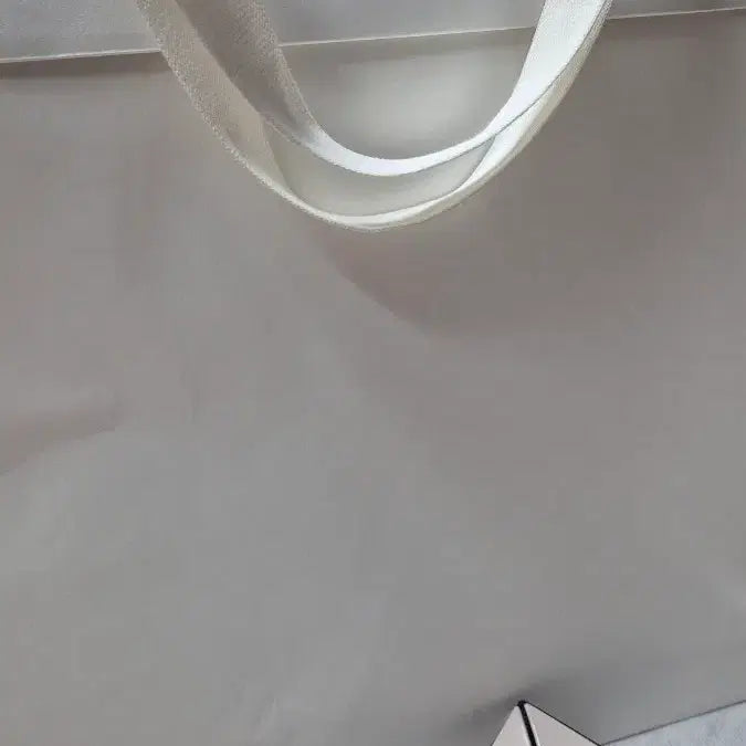 [BUNJANG] Bao Bao Lucent Tote Bag / 바오바오 루센트 토트백 새상품