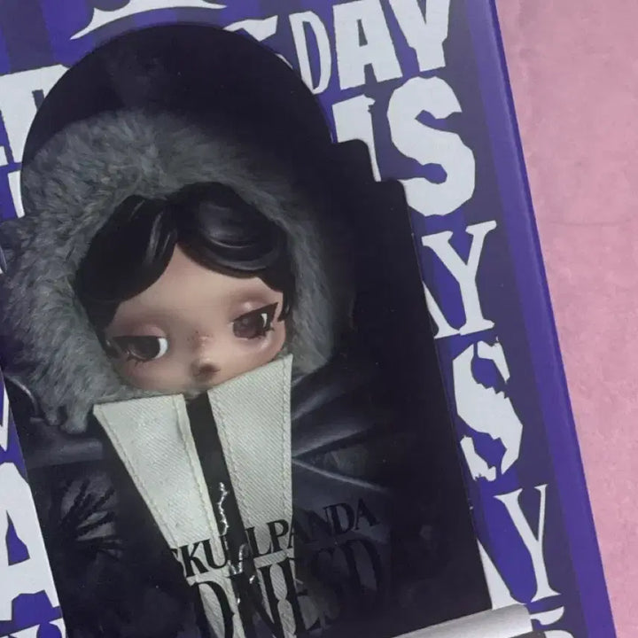 [BUNJANG] Skullpanda Wednesday Sealed / (오늘만할인)미개봉 스컬판다 웬즈데이 판매합니다