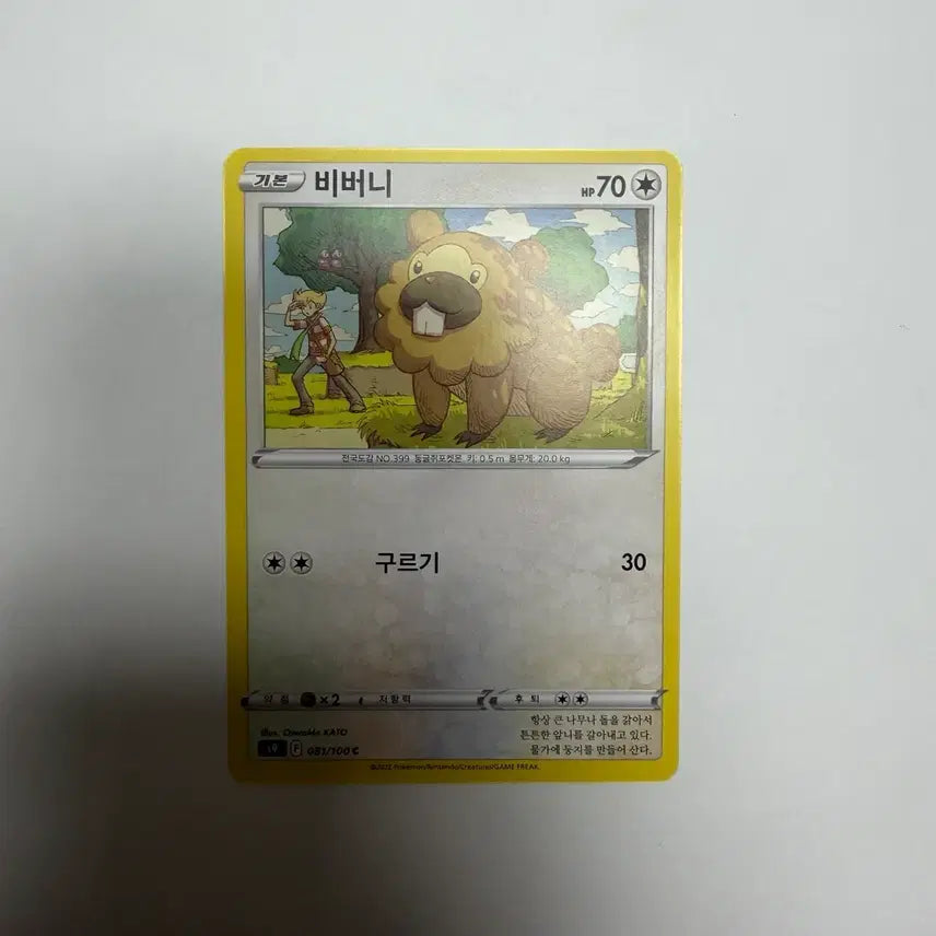 [BUNJANG] Beaver Pokemon Card / 비버니 포켓몬카드