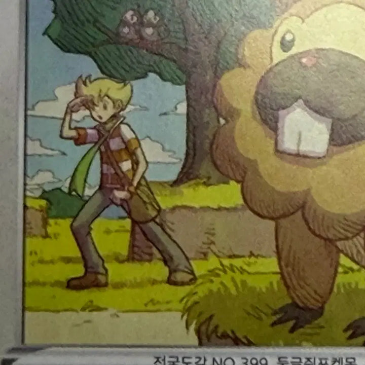 [BUNJANG] Beaver Pokemon Card / 비버니 포켓몬카드