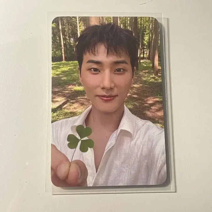 [BUNJANG] Young K (DAY6) Levtino Clover Photocard / 영케이 레윗노 클로버 포카
