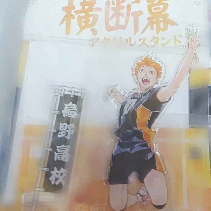 [BUNJANG] Haikyu Hinata Acrylic Banner / 하이큐 히나타 현수막 아크릴