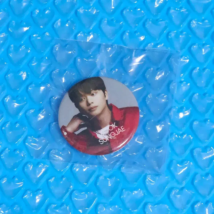 [BUNJANG] BTOB Yook Sungjae Popup Capsule Pin Button / 비투비 육성재 팝업 캡슐 핀버튼