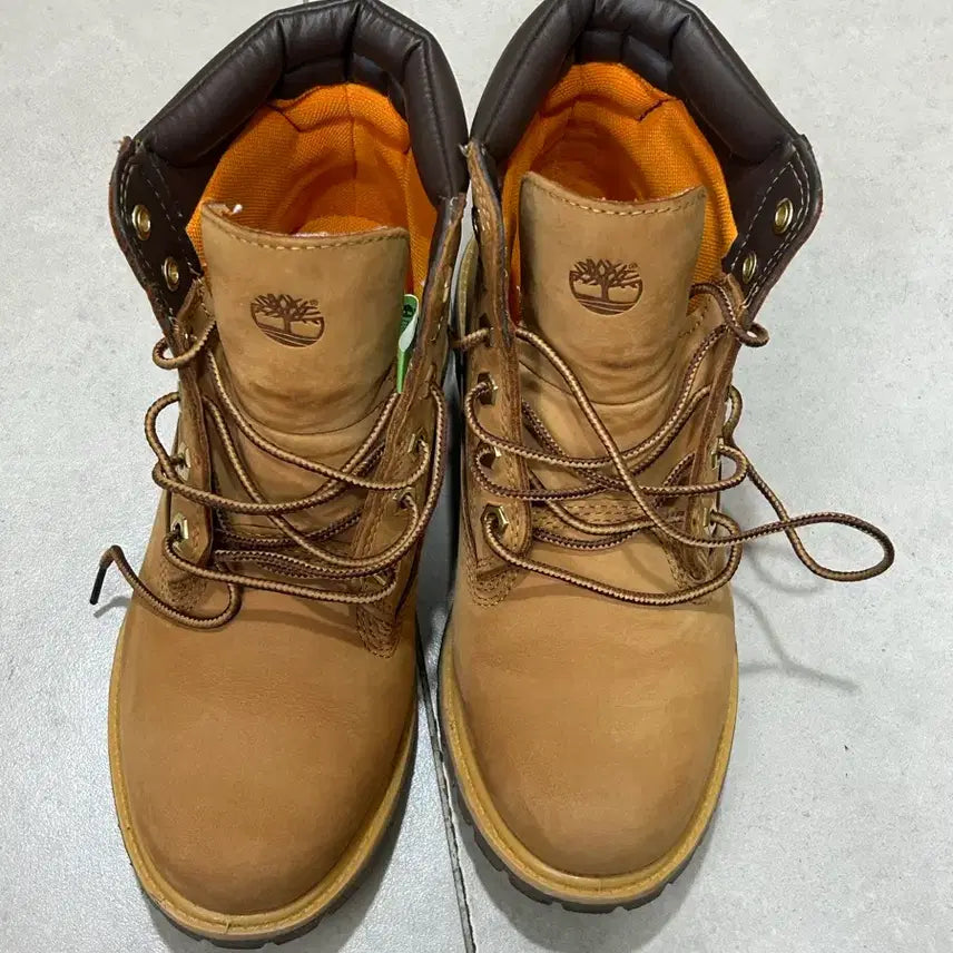[BUNJANG] Timberland Women's 6-Inch Waterproof Boots / [245]팀버랜드 여성 워터빌 6인치
