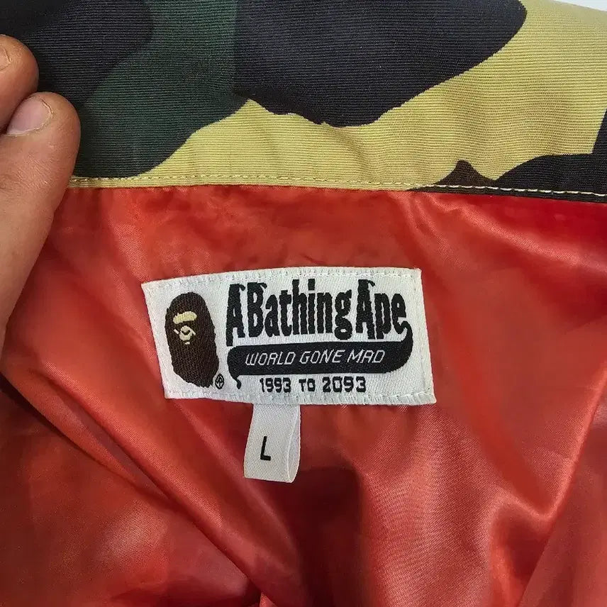 [BUNJANG] BAPE x Dr. Martens Coach Jacket / 베이프 x 닥터마틴 자켓