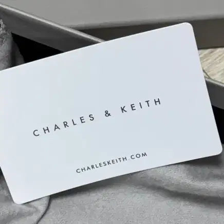 [BUNJANG] Charles & Keith Shoulder & Crossbody Bag / 찰스앤키스 숄더&크로스백