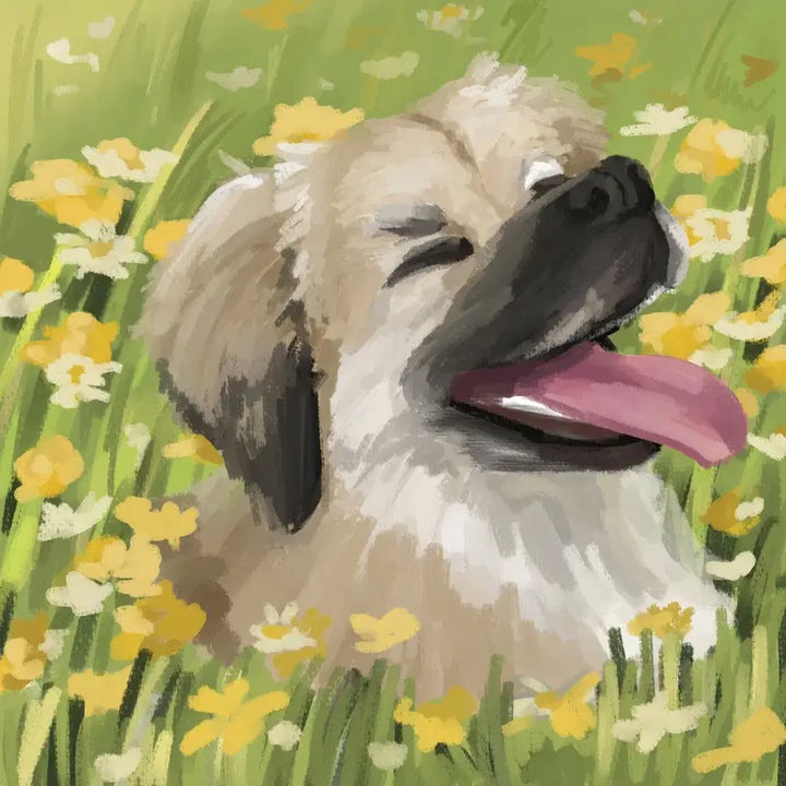 [BUNJANG] Custom Pet Portrait Painting / 유화, 수채화 느낌 반려동물 그림 그려드려요