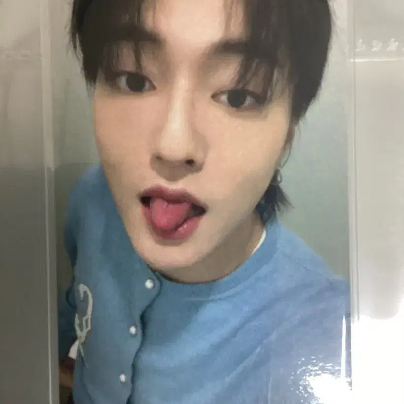 트레저 하루토 포카 판매