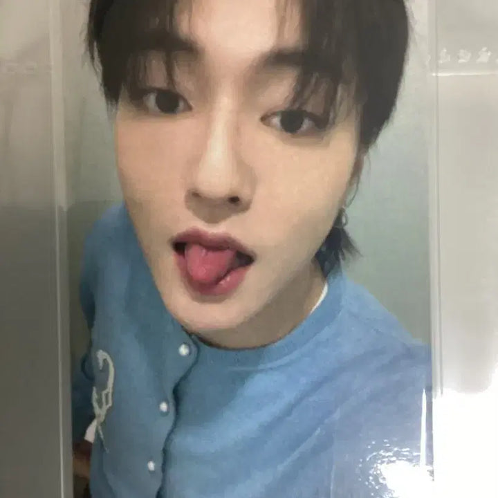 트레저 하루토 포카 판매