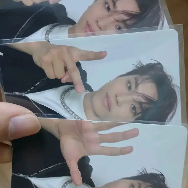 트레저 포카 판매