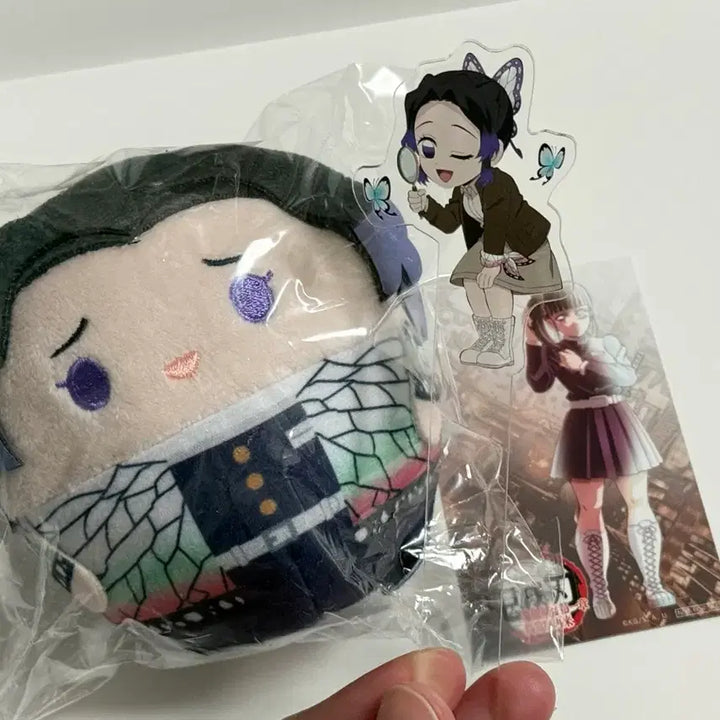 [SOLD OUT] 귀멸의칼날 시노부 카나오 후와코로링 세트