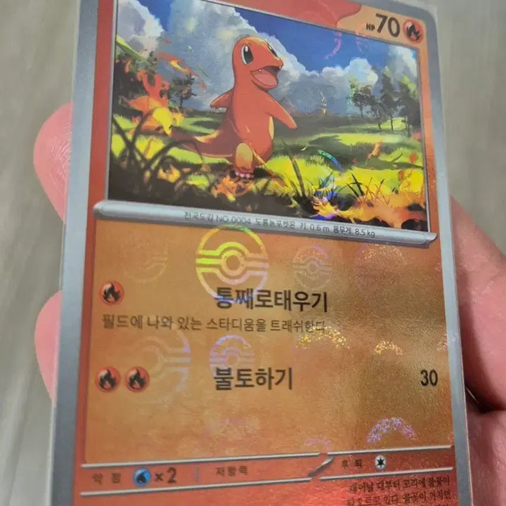[BUNJANG] Pokemon 151 Charmander Monster Ball Card / 포켓몬카드151 파이리 몬볼 몬스터볼 팝니다.