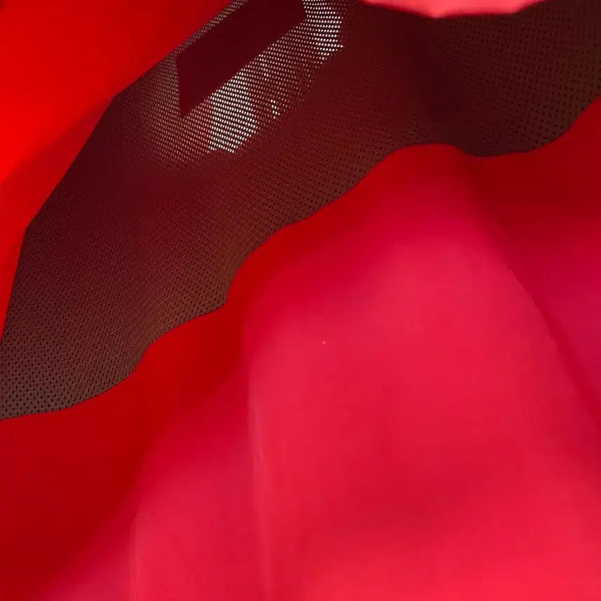 [BUNJANG] Lacoste BH2331 Hidden Hood Waterproof Jacket / 라코스테 BH2331 히든 후드 방수 자켓