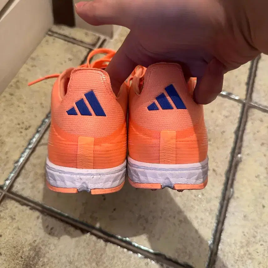 [BUNJANG] Adidas F50 TF Pro 260 / 아디다스 풋살화 F50 tf프로 260