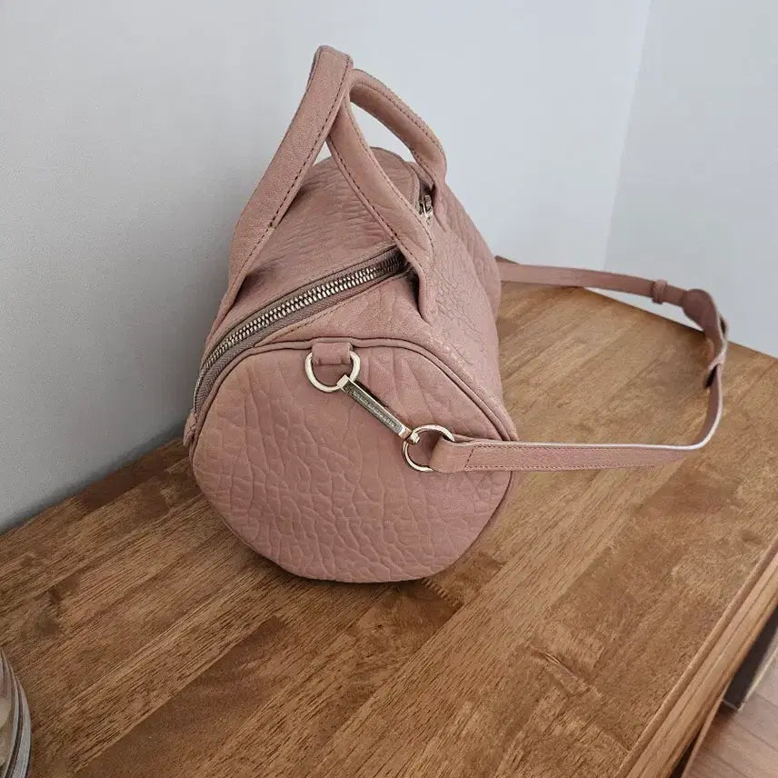 [BUNJANG] Alexander Wang Loki Bag / 알렉산더왕 로키백