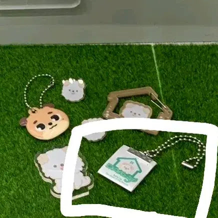 [BUNJANG] Day6 Dowoon Label Keyring / 반택포!! 데이식스 팝업 라벨키링 도운 돈
