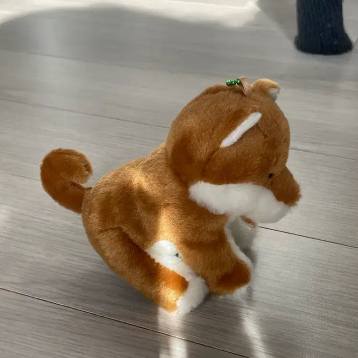 [BUNJANG] Amuse Shiba Inu Dog Plush Keyring / 일본 어뮤즈 시바견 인형 강아지 봉제인형 키링