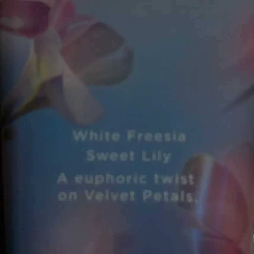 [BUNJANG] Victoria's Secret Velvet Petals Blis Body Lotion / 빅토리아 시크릿 벨벳 페탈 블리스 로션