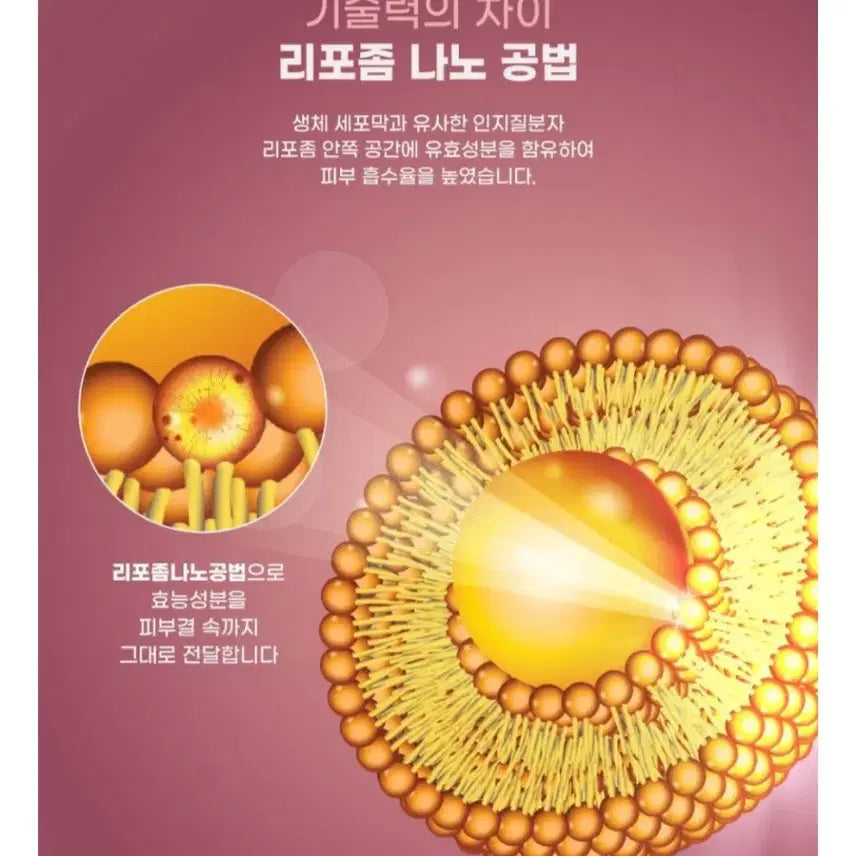 [BUNJANG] NK Cell Light On Cream & Eye Cream / 룰루뷰 NK CELL 라이트온 크림 앤 아이크림