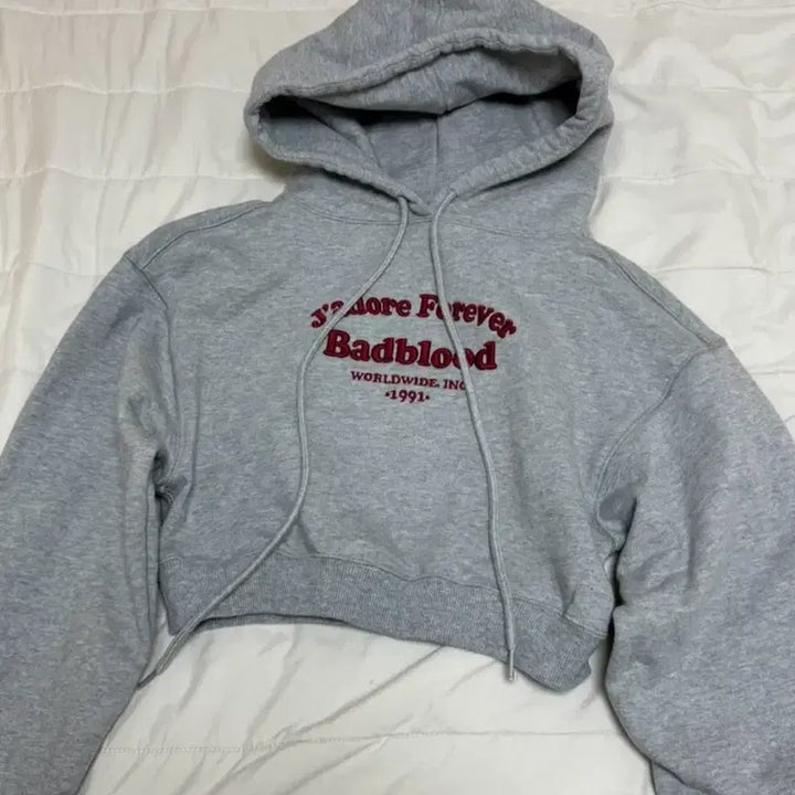 [BUNJANG] Bad Blood Crop Hoodie S / 배드블러드 크롭 후드티 s