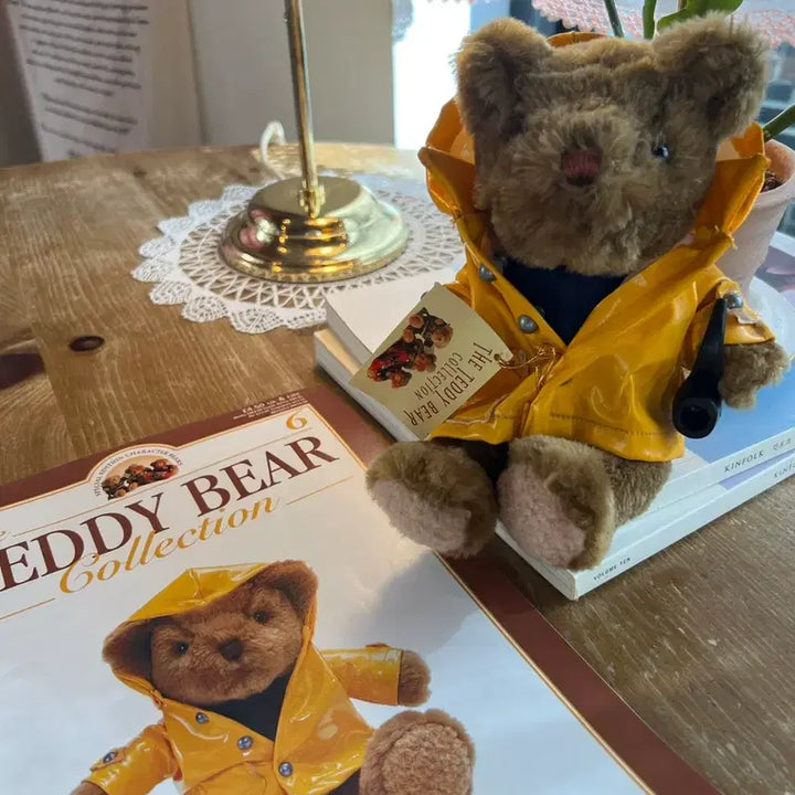 [BUNJANG] Vintage British Teddy Bear Collection & Booklet / 영국 빈티지 테디베어 컬렉션 & 책자