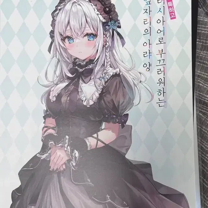 [BUNJANG] Rosidere Template Limited Edition Set / 아랴 한정판 템플릿