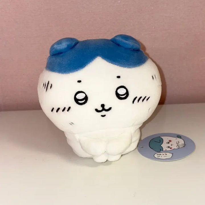 [BUNJANG] Hachiware Nui Plush / 하치와레 쪼그려 앉은 누이