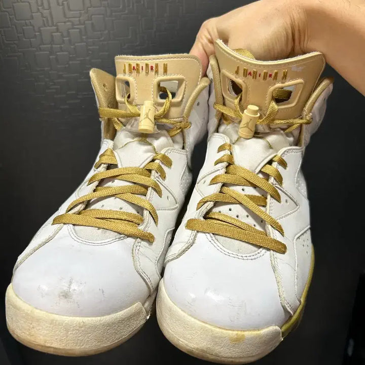[BUNJANG] Nike Air Jordan 6 GMP Sneakers / [260]나이키 에어 조던 6 GMP