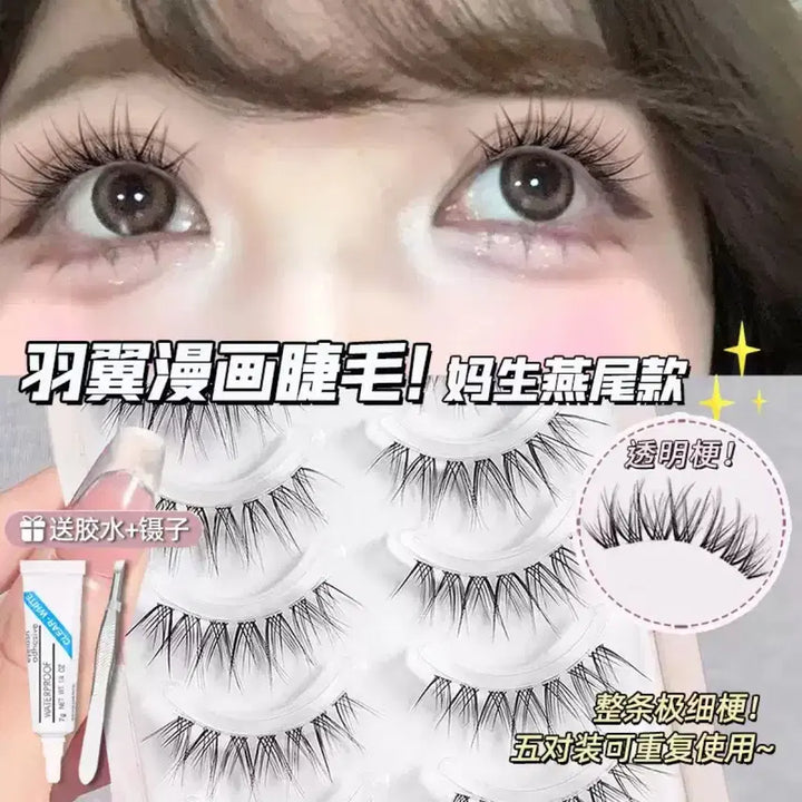 [BUNJANG] Cosplay Eyelashes (5 Pairs) / 코스프레 탑 속눈썹 5쌍
