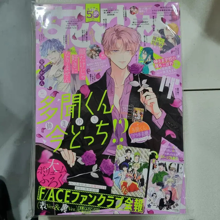 [BUNJANG] Tamon-kun, Which Way Now? Sealed POB / (급처)타몬군 지금 어느쪽. 하나또유메. 하나토유메 미개봉 (특전 포함)